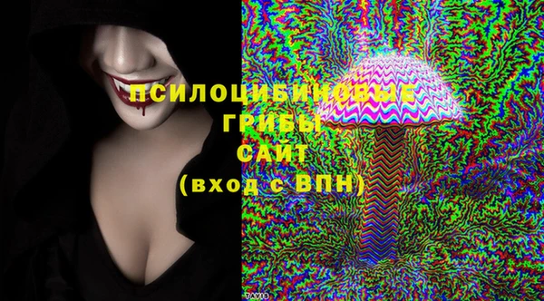 тгк Алзамай