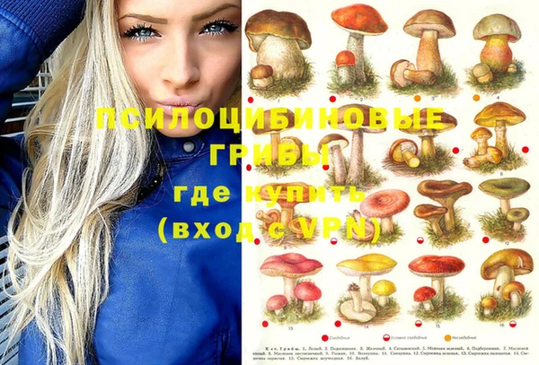 тгк Алзамай