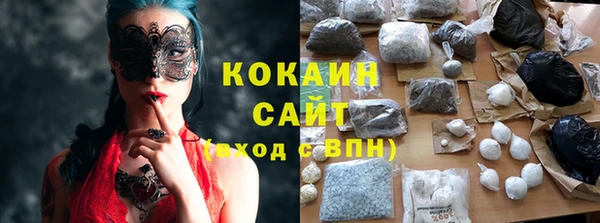 прущие грибы Алексеевка