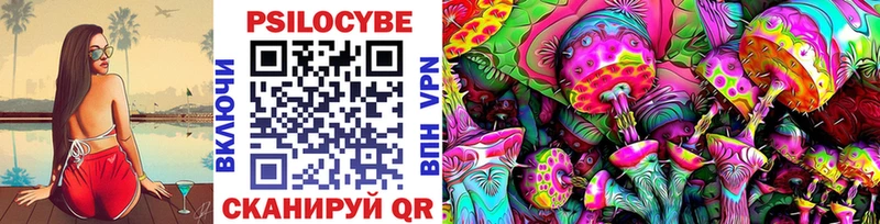 Псилоцибиновые грибы Psilocybine cubensis  где купить наркоту  Шацк 