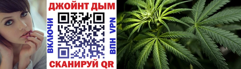 Марихуана сатива  мега tor  Шацк 